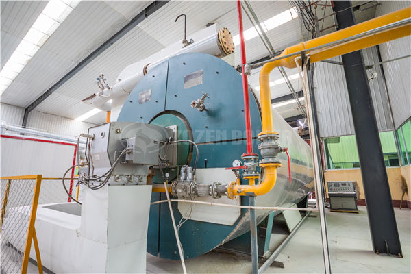 75t/h循環(huán)流化床鍋爐