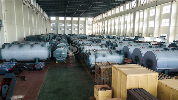 6蒸噸天然氣型燃?xì)忮仩t多少錢一套用氣量多少